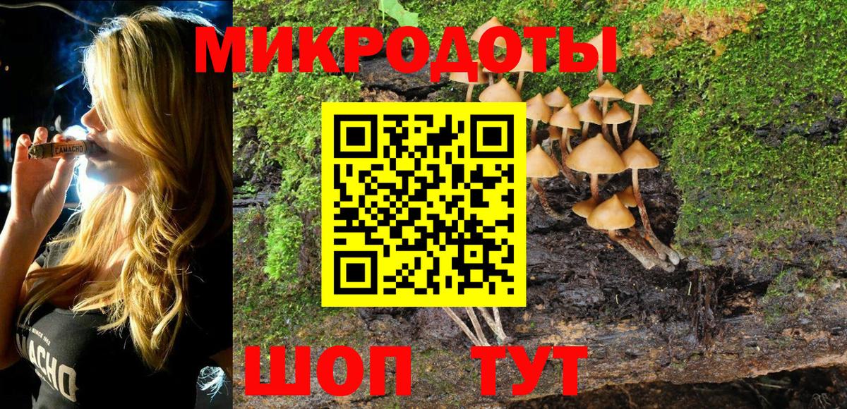 Псилоцибиновые грибы мухоморы Тулун